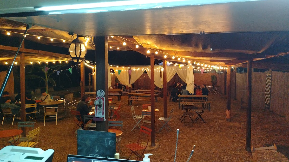 Ortica Green Bar Photo 4