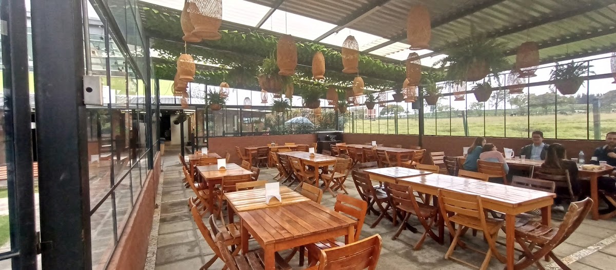 Carnívoros campestre