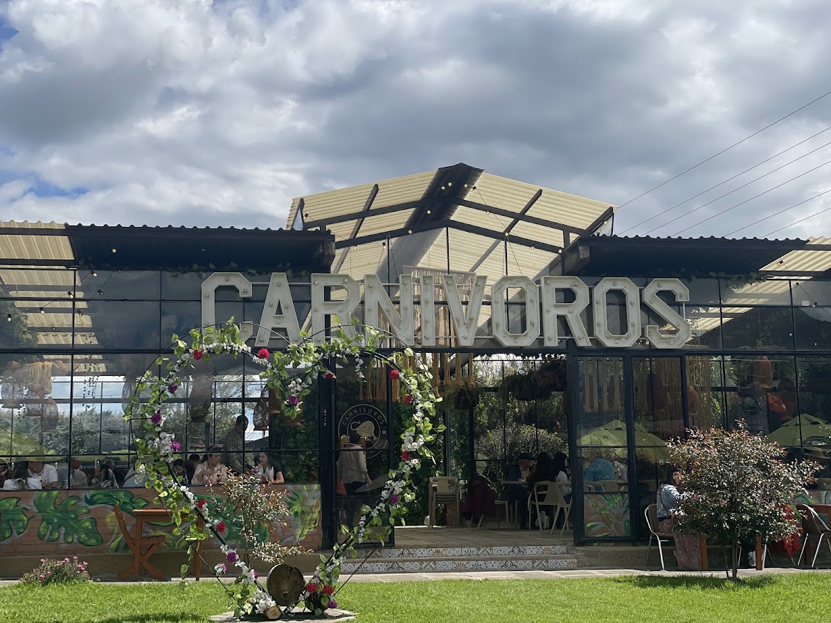 Carnívoros campestre Photo 4