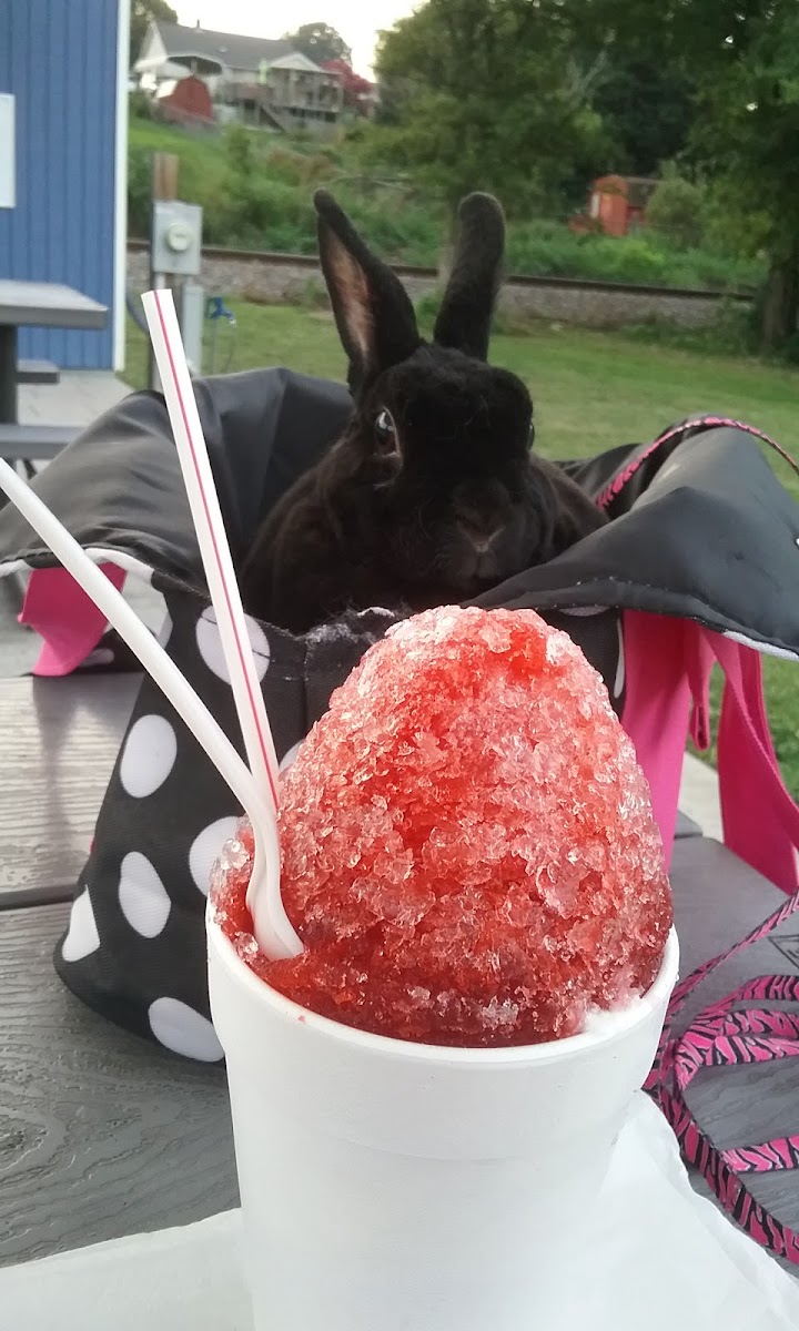 Sweet P's Snowball Shack Photo 6