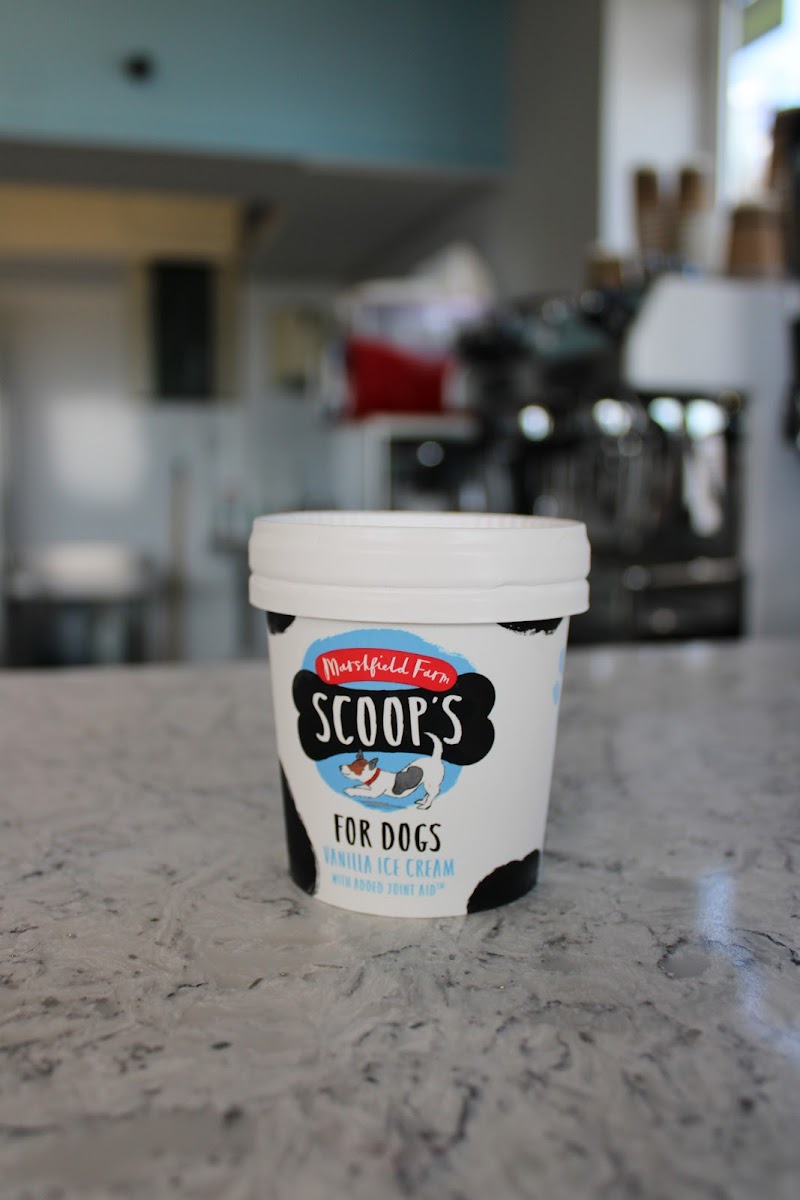Tilly’s Ice Cream Photo 7