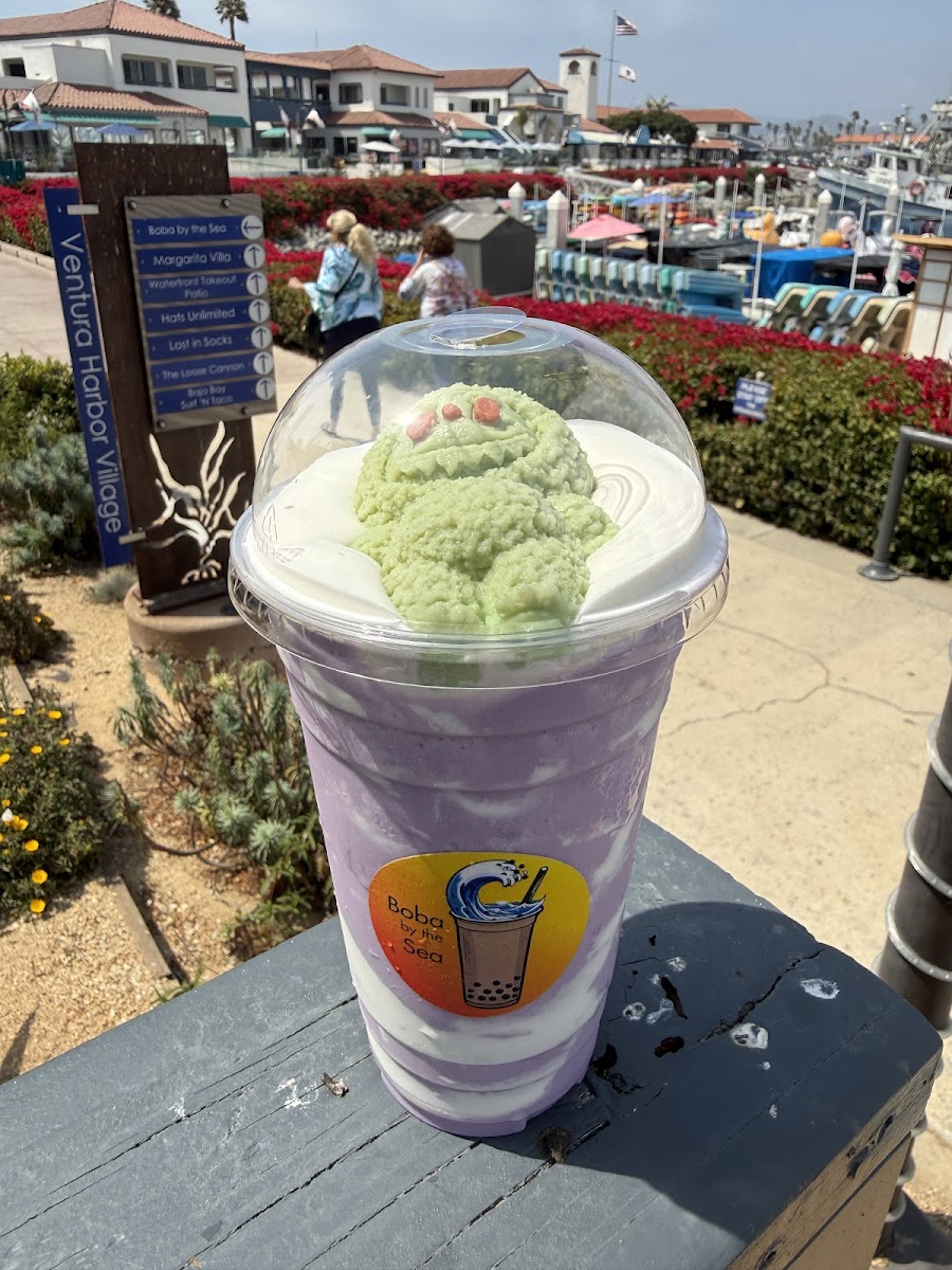 Boba by the Sea Photo 7