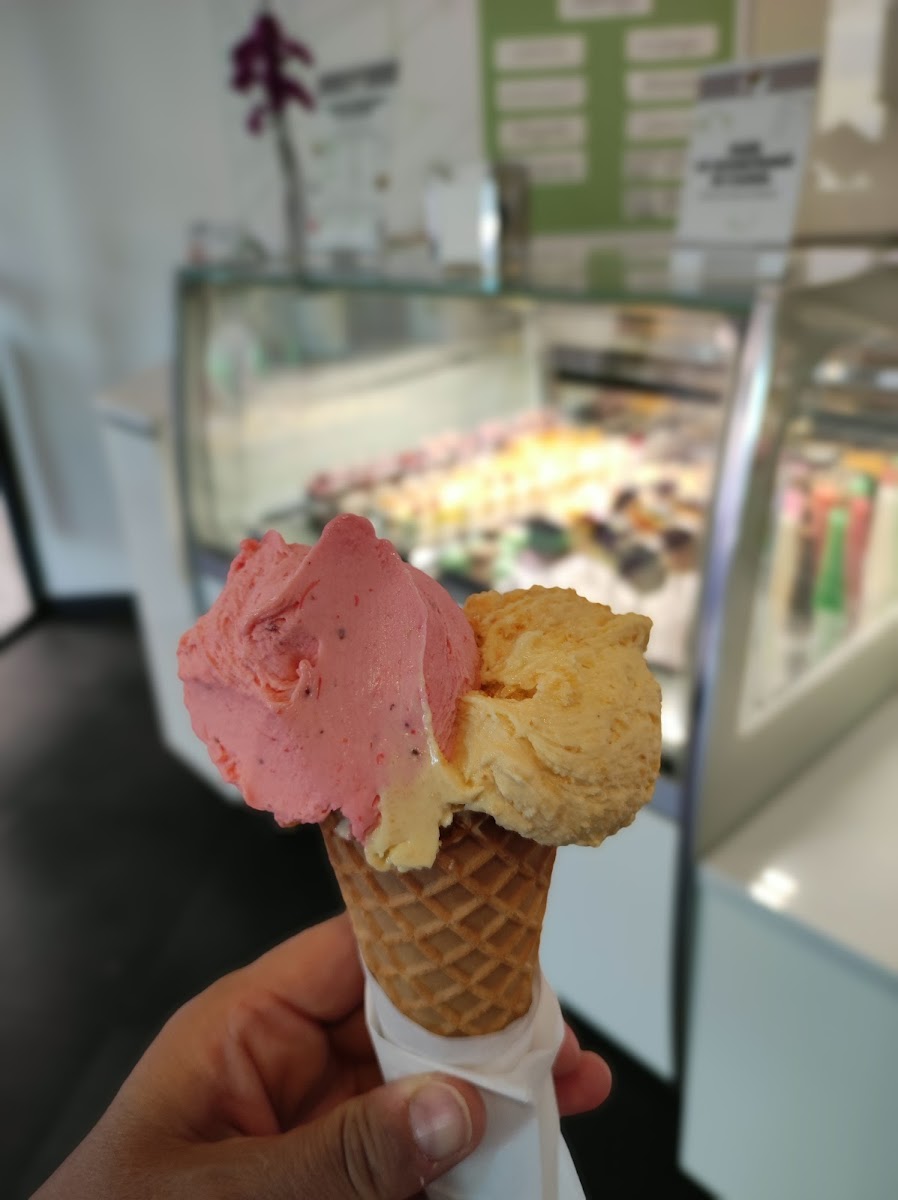 Gelateria Il Golosone Photo 7