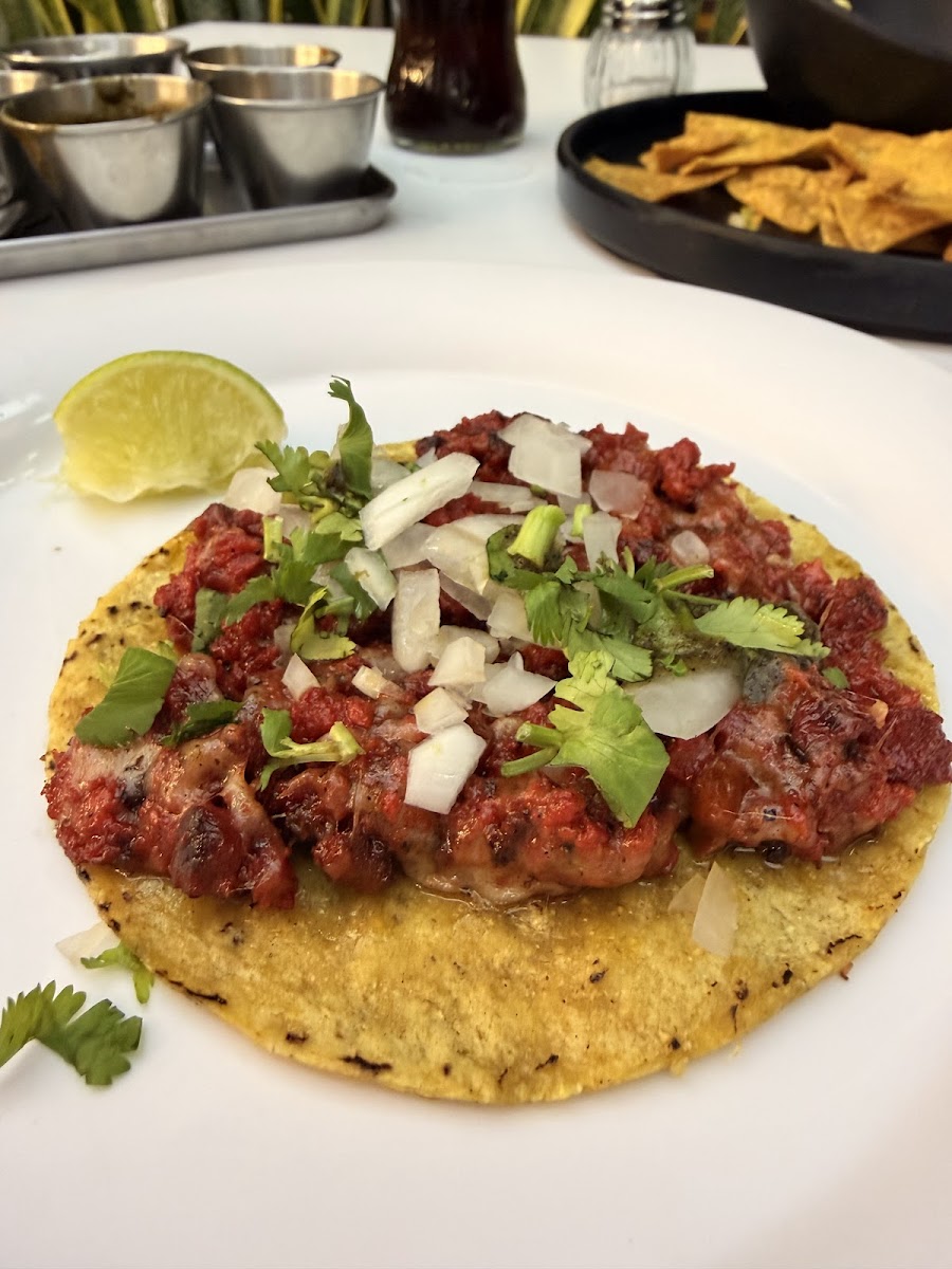 Los Chachalacos Photo 6