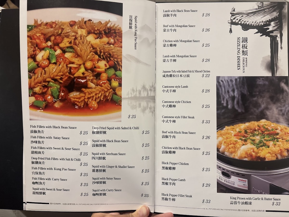 Duncraig Asian Cuisine Photo Menu 3