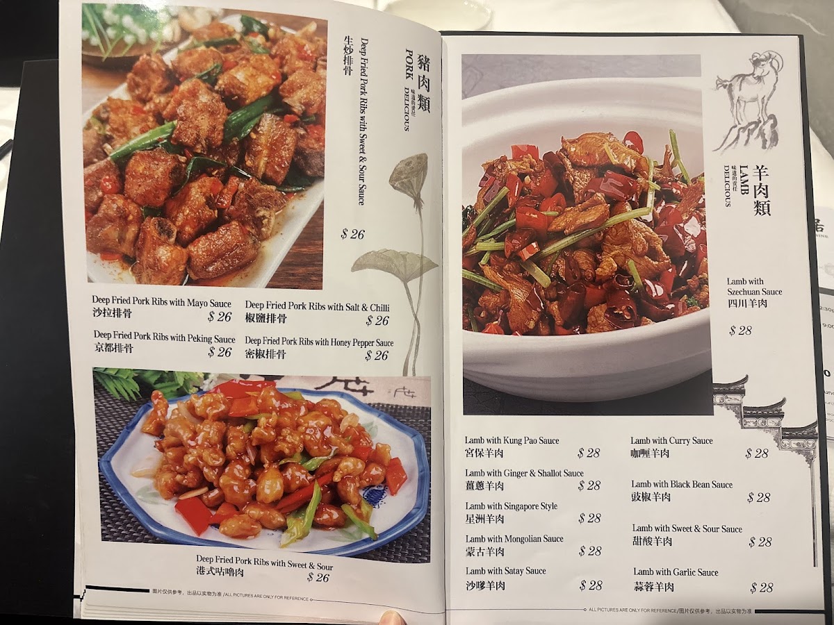Duncraig Asian Cuisine Photo Menu 7