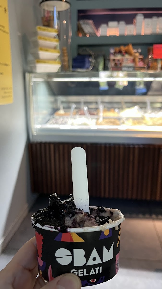 SBAM Gelati Washington Photo 3