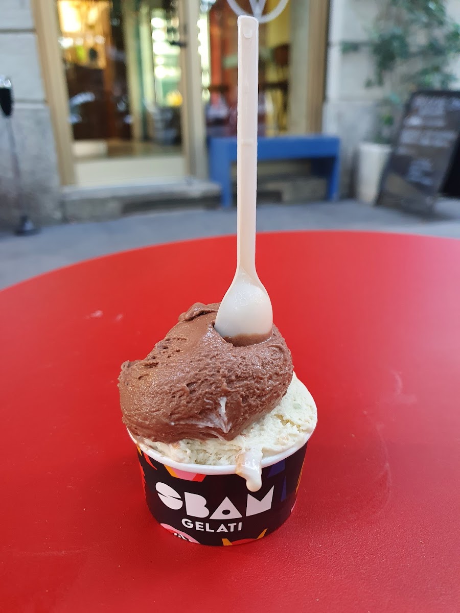 SBAM Gelati Washington Photo 5