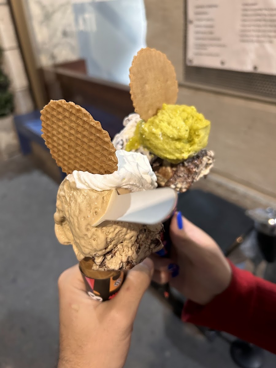 SBAM Gelati Washington Photo 9