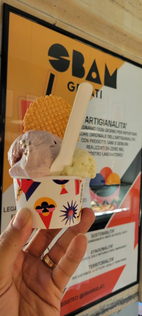 SBAM Gelati Washington Photo Menu 3