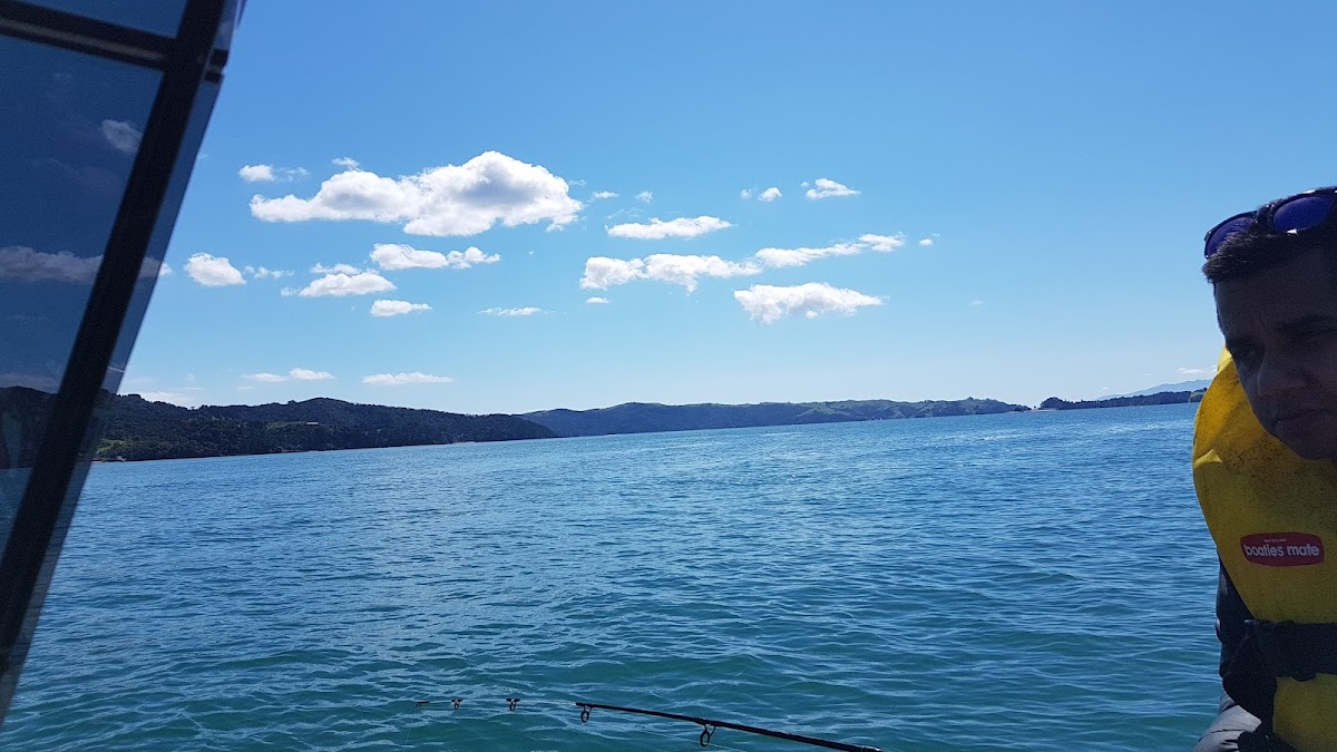 Waiheke Mussel Farm Photo 4
