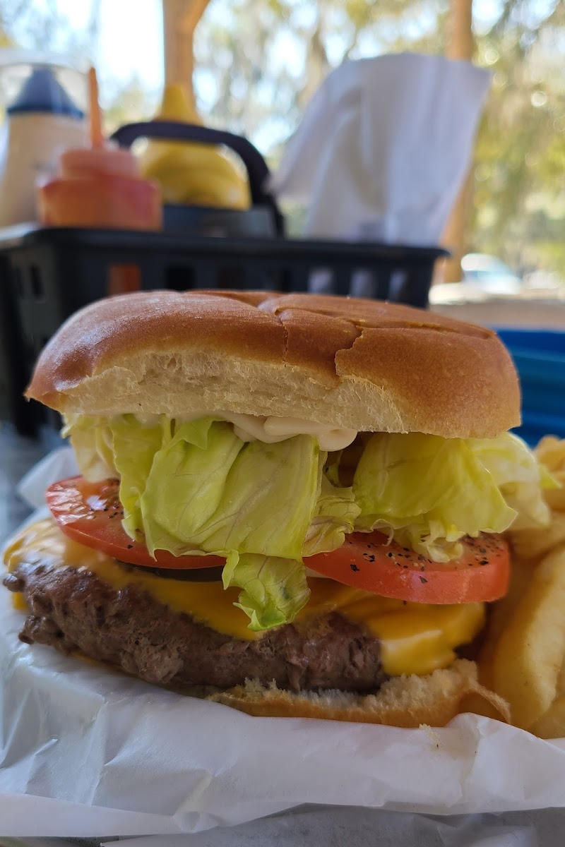 The Chassahowitzka River Lodge Bar & Grill Photo 9