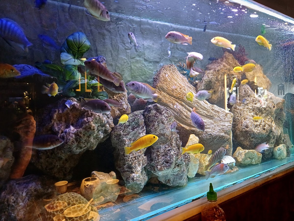 Lychee Bay 荔枝灣 Photo 9
