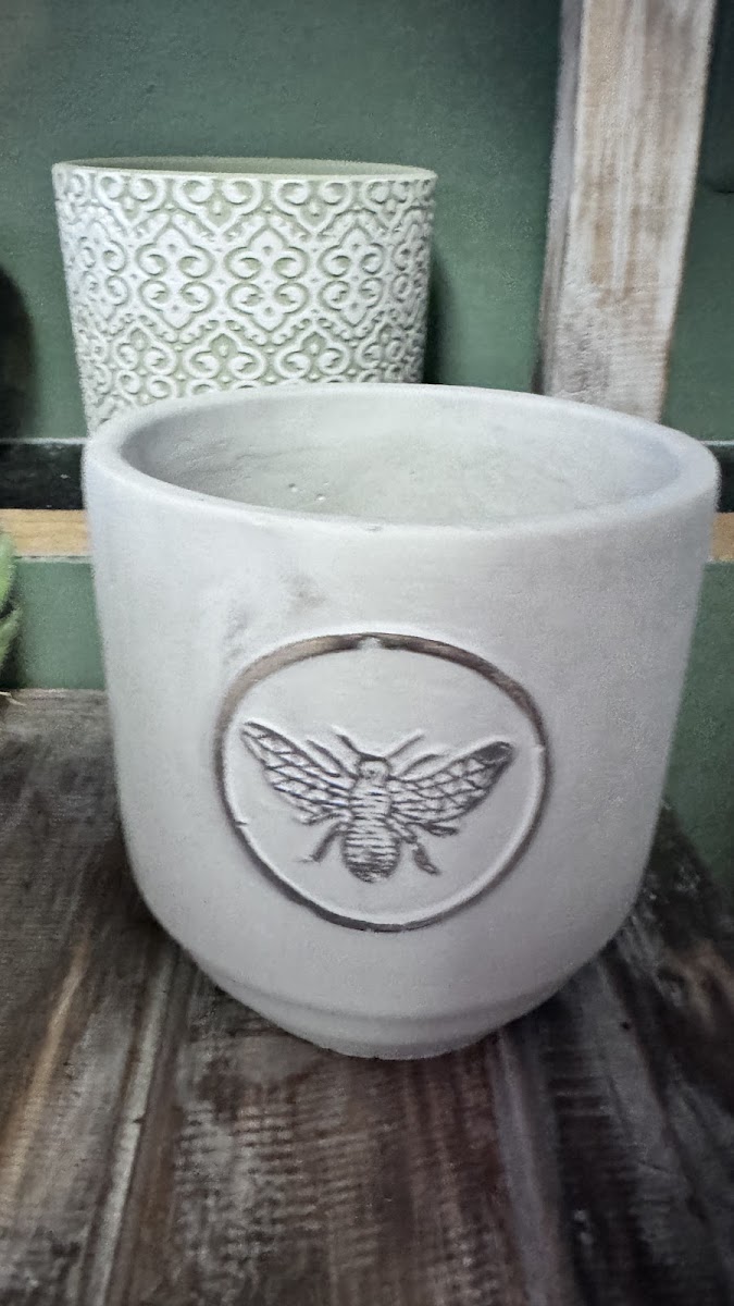 Surfside Coffee House Photo 9