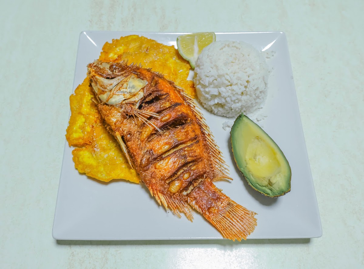 Latin Express Torrevieja Photo 10
