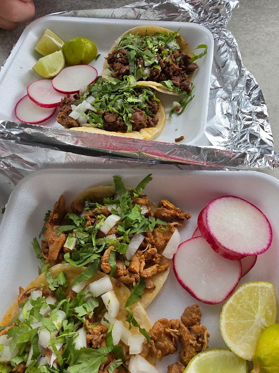 Don Julios Tacos Photo 4