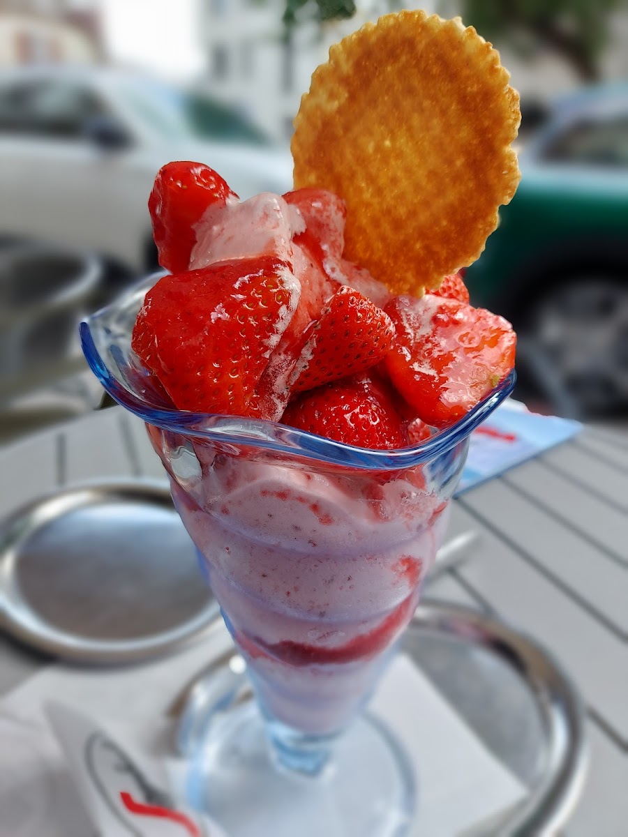 Eis garda Photo 5