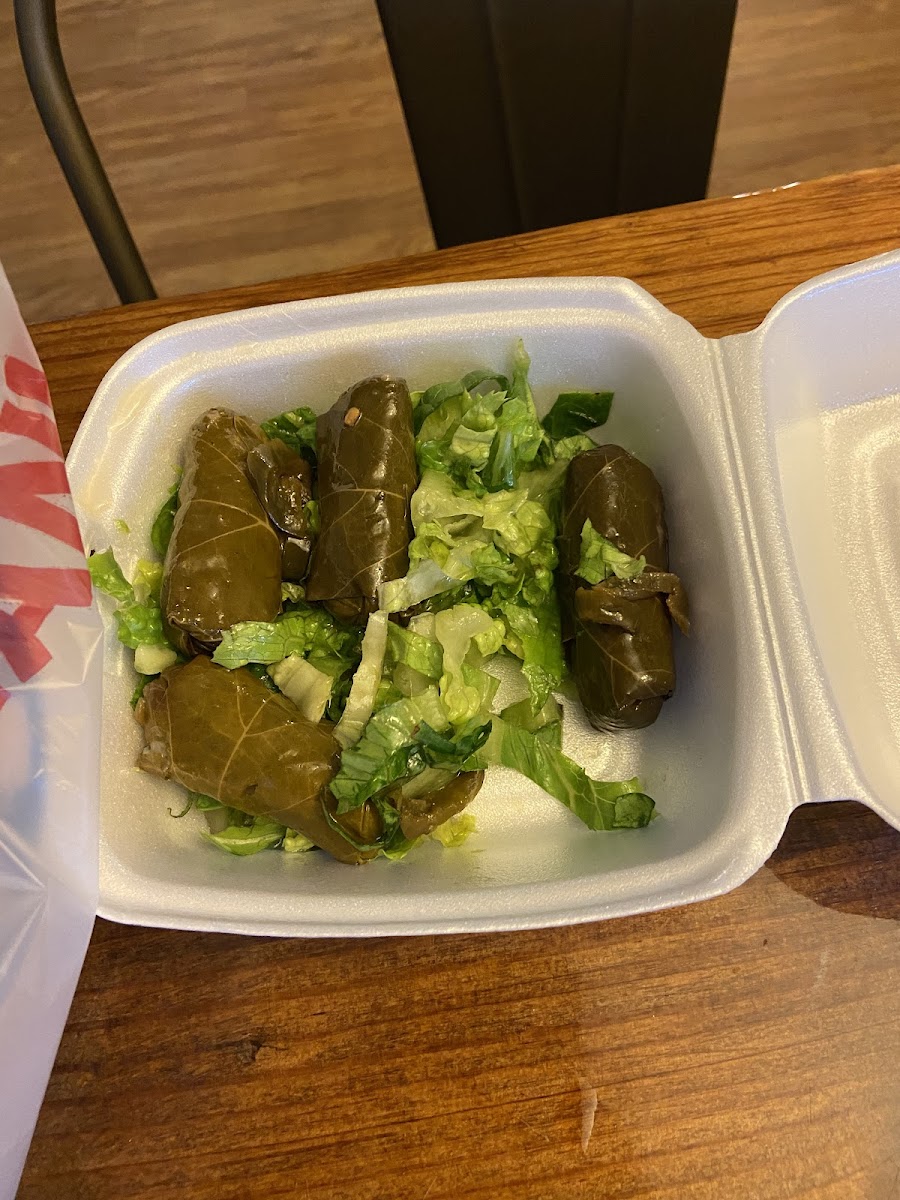 The Gyro Guys KINGWOOD Photo 7