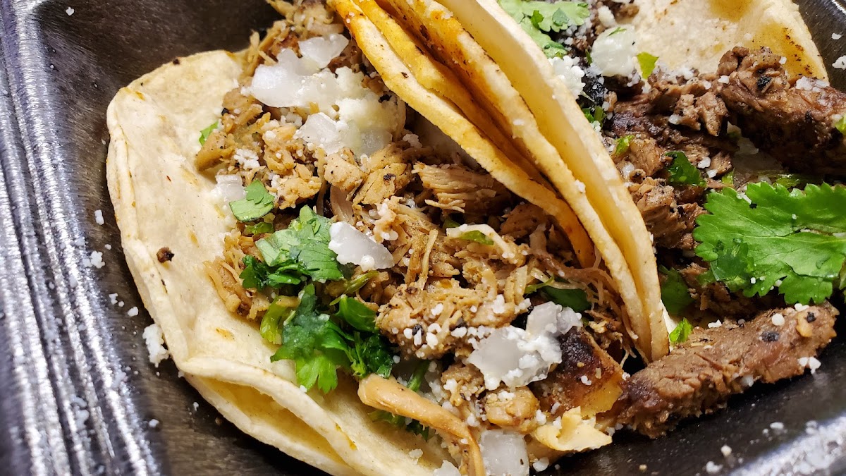 Gato Tacos Photo 5