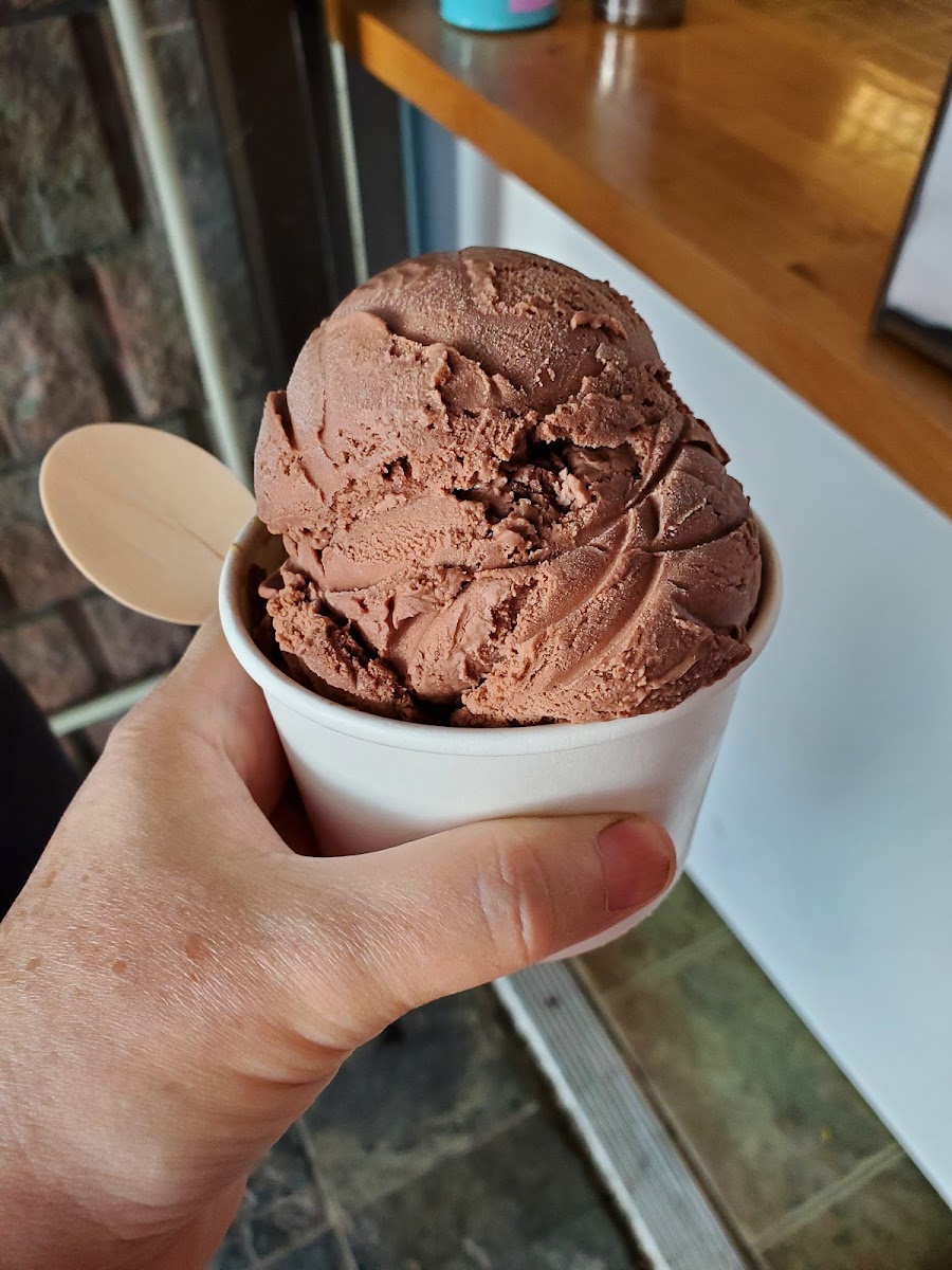 Cool Moose Ice Cream Photo 10