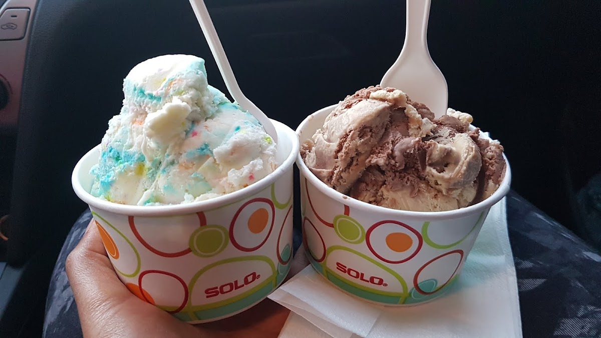 Cool Moose Ice Cream Photo 6