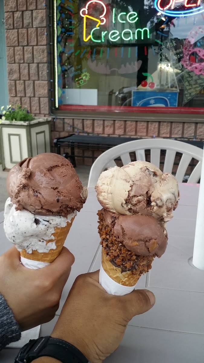 Cool Moose Ice Cream Photo 7