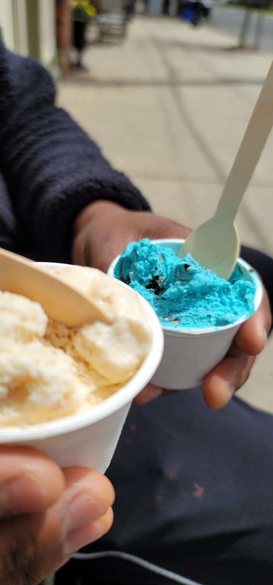 Cool Moose Ice Cream Photo 8