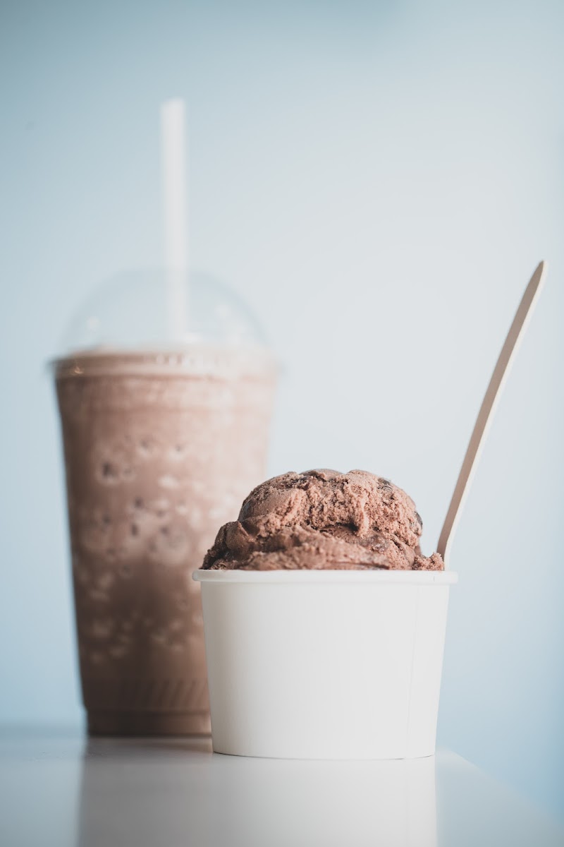 Cool Moose Ice Cream Photo 9