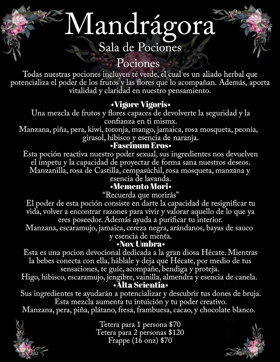 Mandrágora Sala de Pociones Photo Menu 1