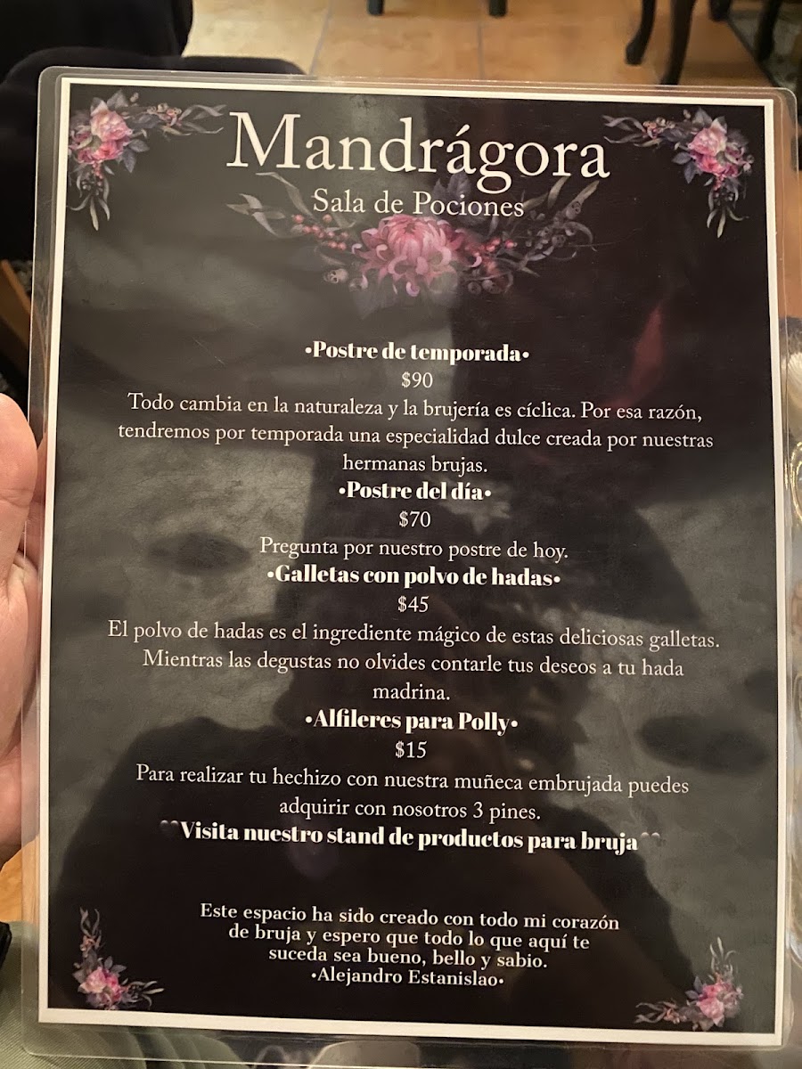 Mandrágora Sala de Pociones Photo Menu 2