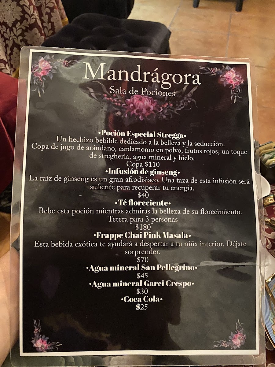 Mandrágora Sala de Pociones Photo Menu 4
