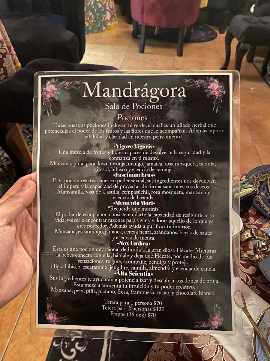 Mandrágora Sala de Pociones Photo Menu 6