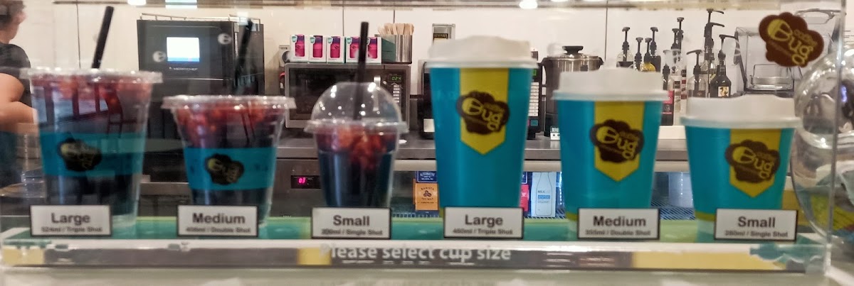Coffee Bug Express Photo 8