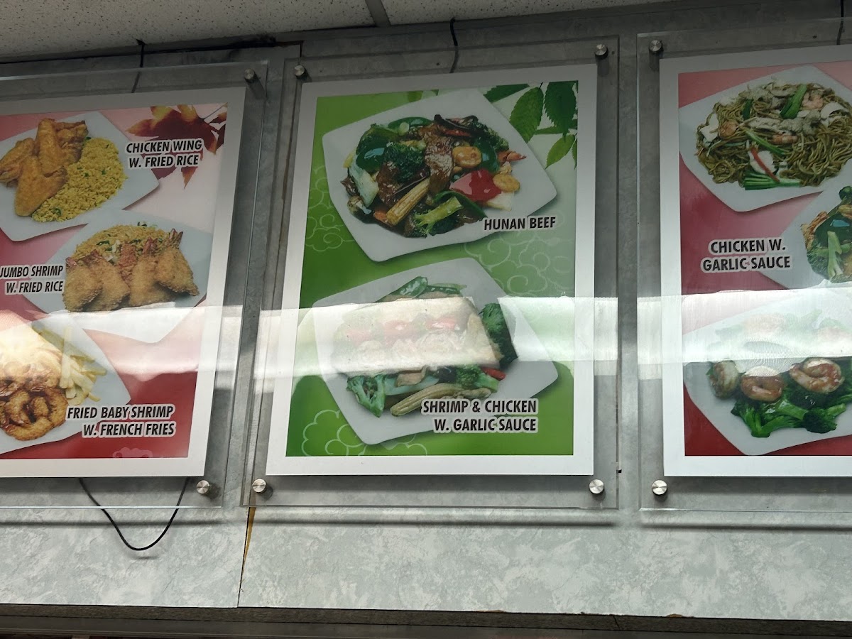 Amin's Chinese Halal Food Photo Menu 3
