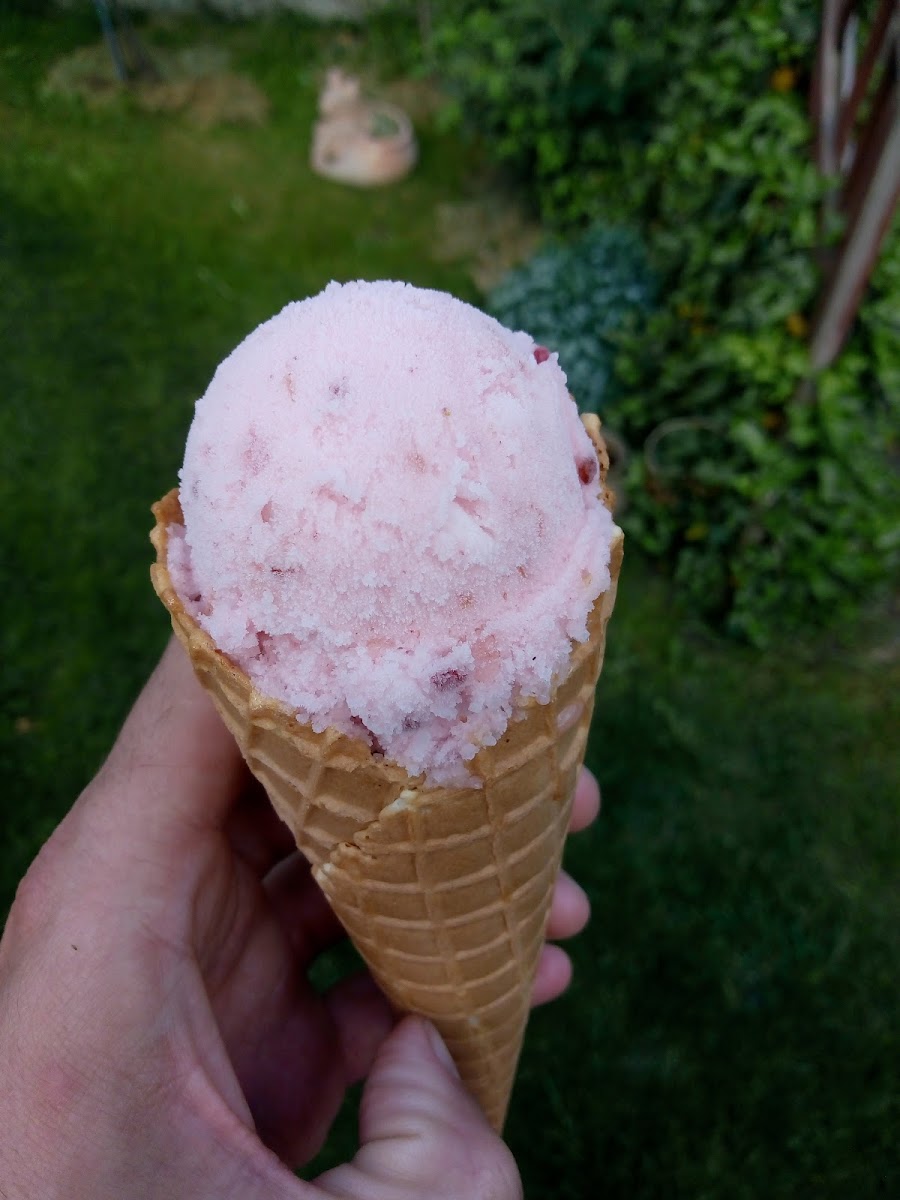 Zucker am Markt - Eismanufaktur & Bestellkonditorei Photo 9