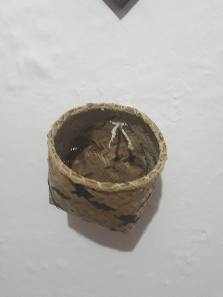 CaféCuxá Photo 7