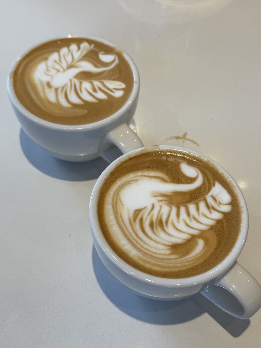 Cups on Melbourne Photo 4