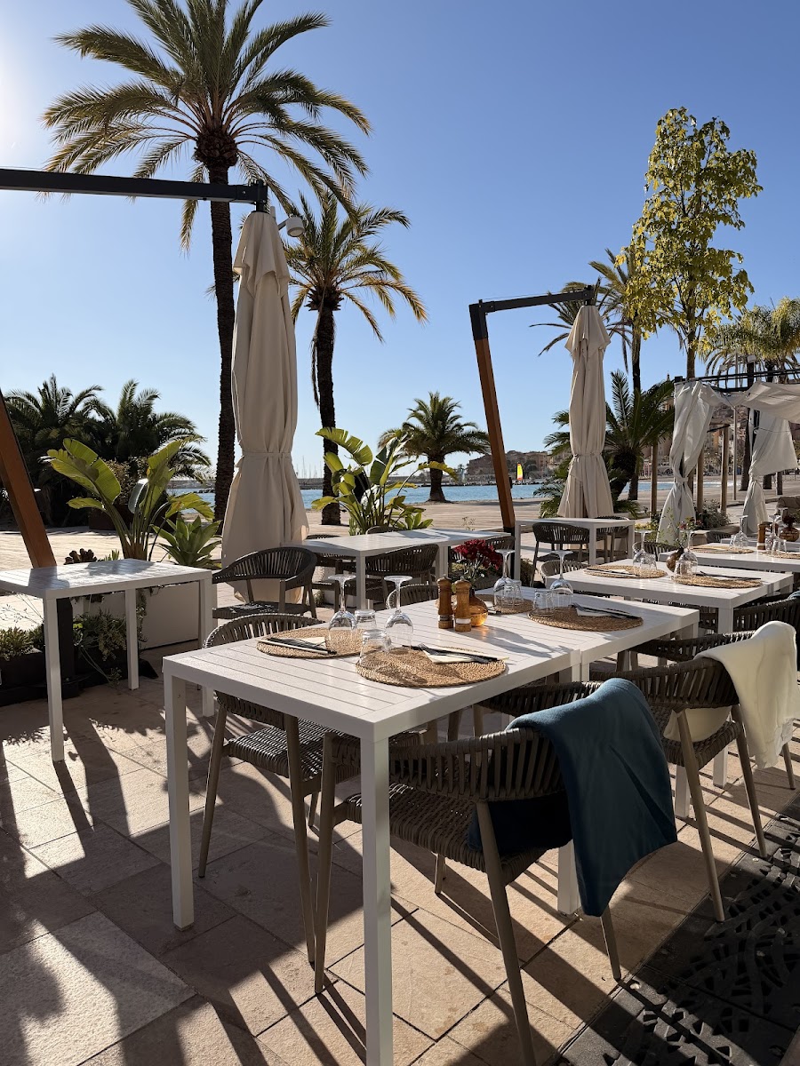 Eventail Plage