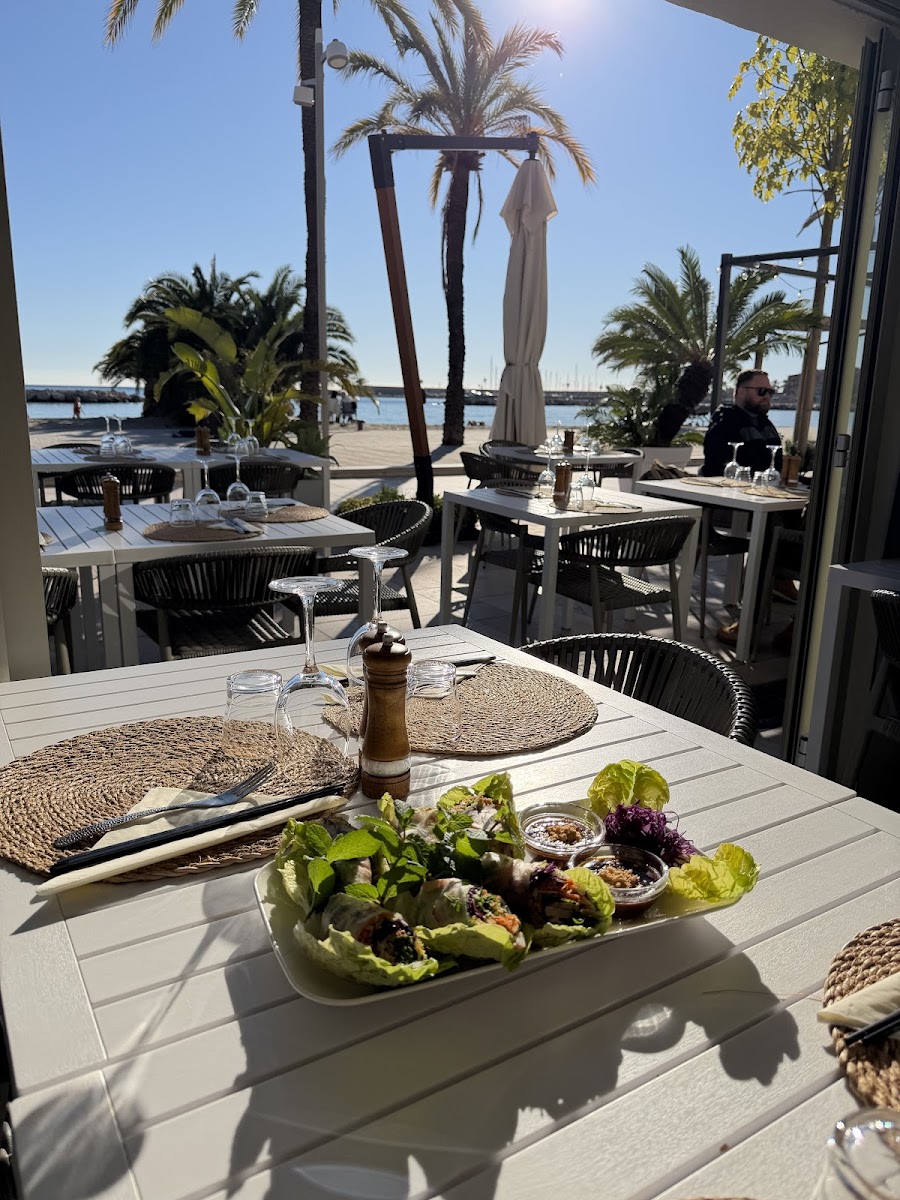 Eventail Plage Photo 5