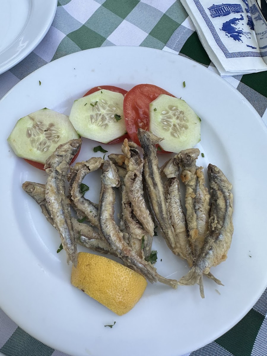Taverna To Steki - Potsdam Photo 10