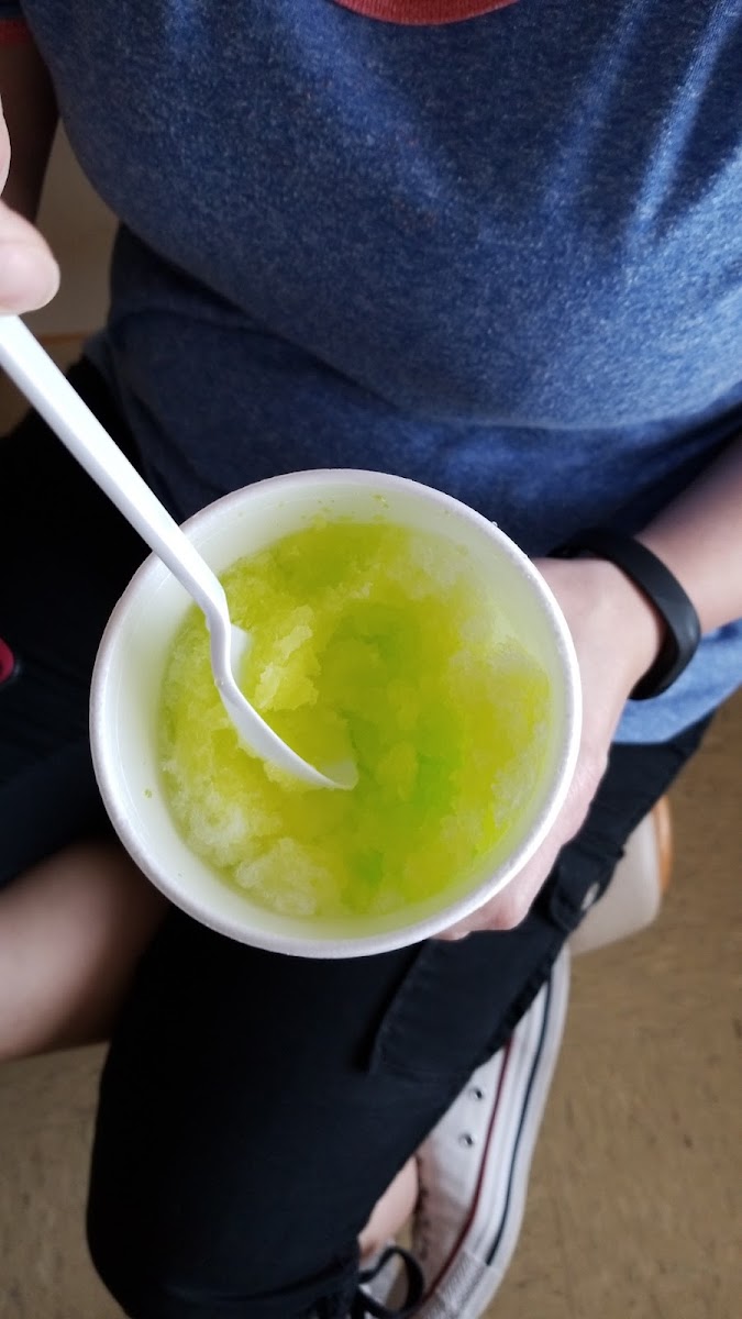Pelican's Snoballs Photo 10