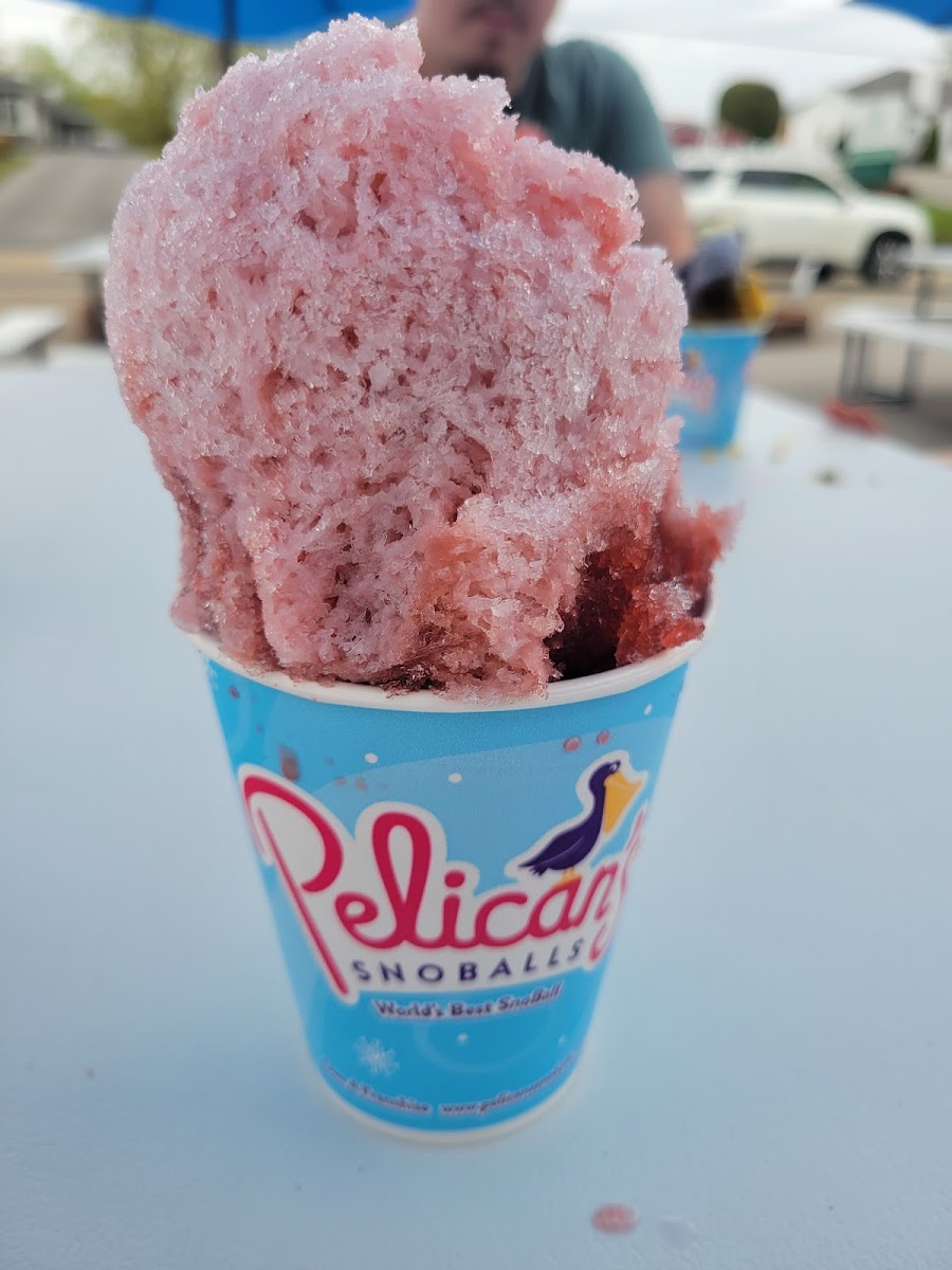 Pelican's Snoballs Photo 5
