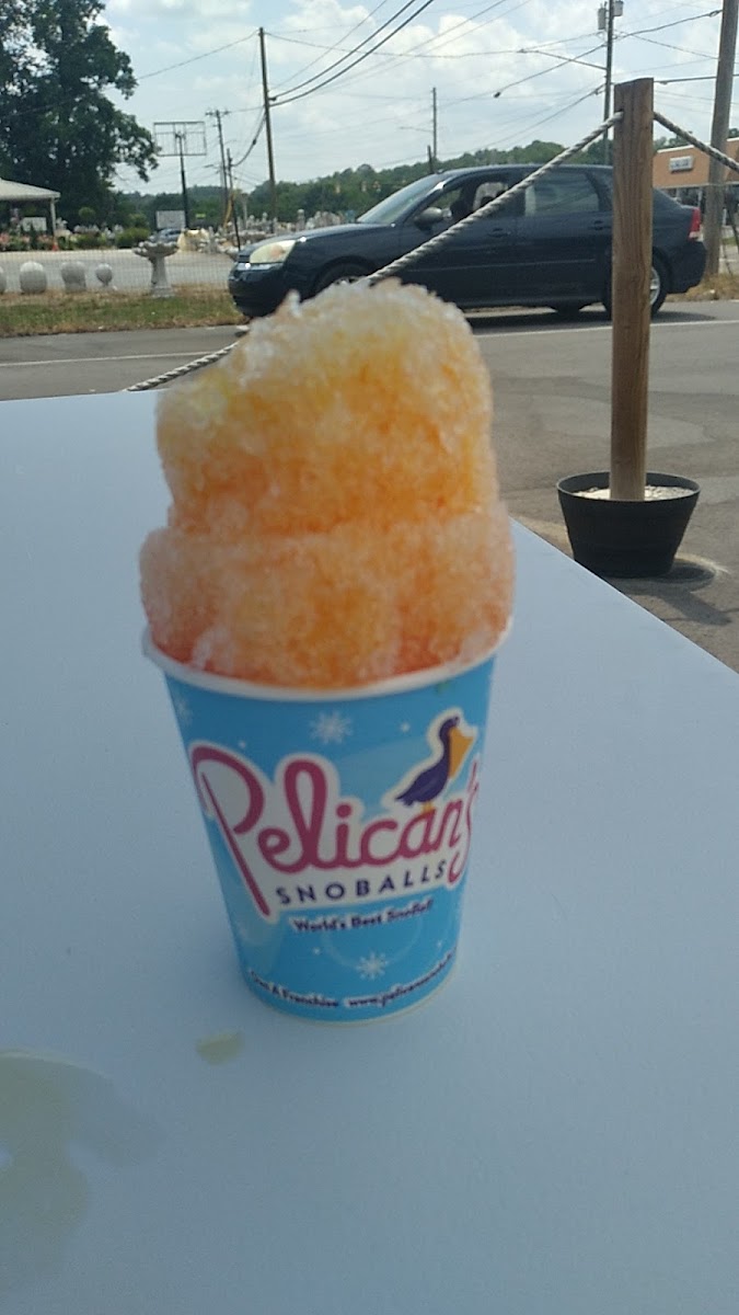 Pelican's Snoballs Photo 7