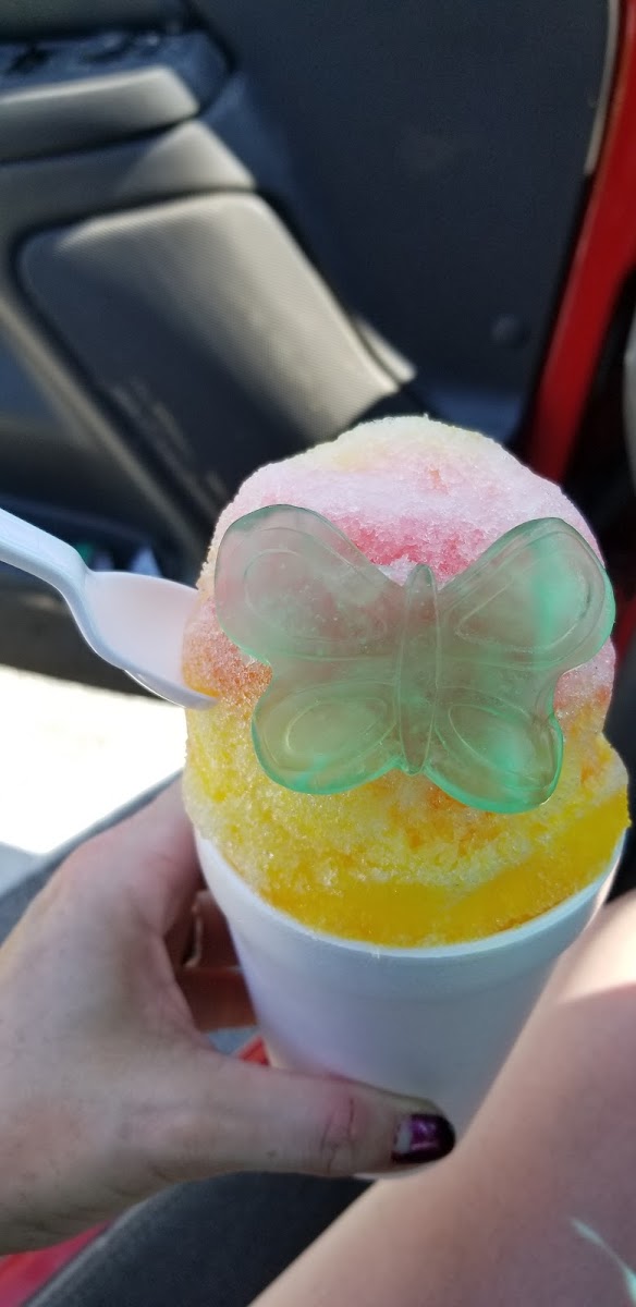 Pelican's Snoballs Photo 9