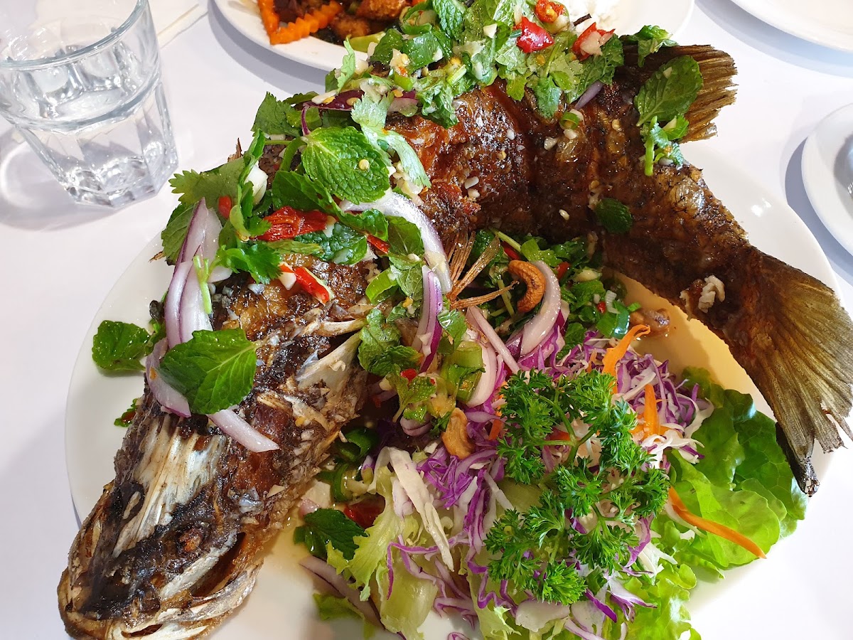 Arundel Thai restaurant (Parkwood) Photo 5