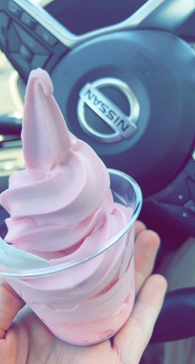 Iceburg Ice Cream Photo 5
