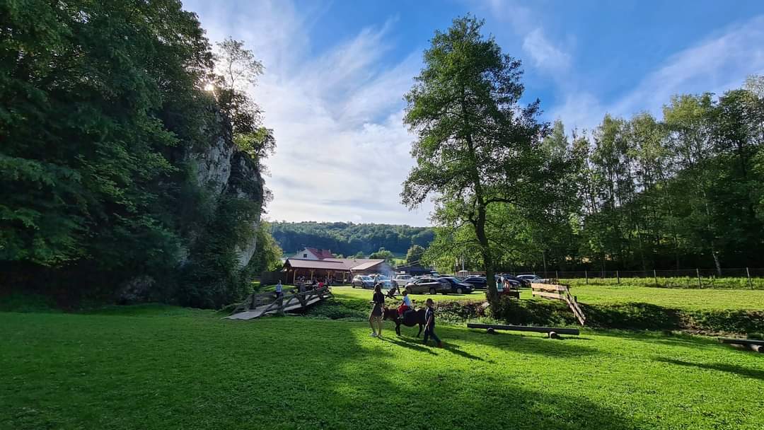 Smażalnia Ryb Dubie 'Pod SKAŁKĄ' Photo 3