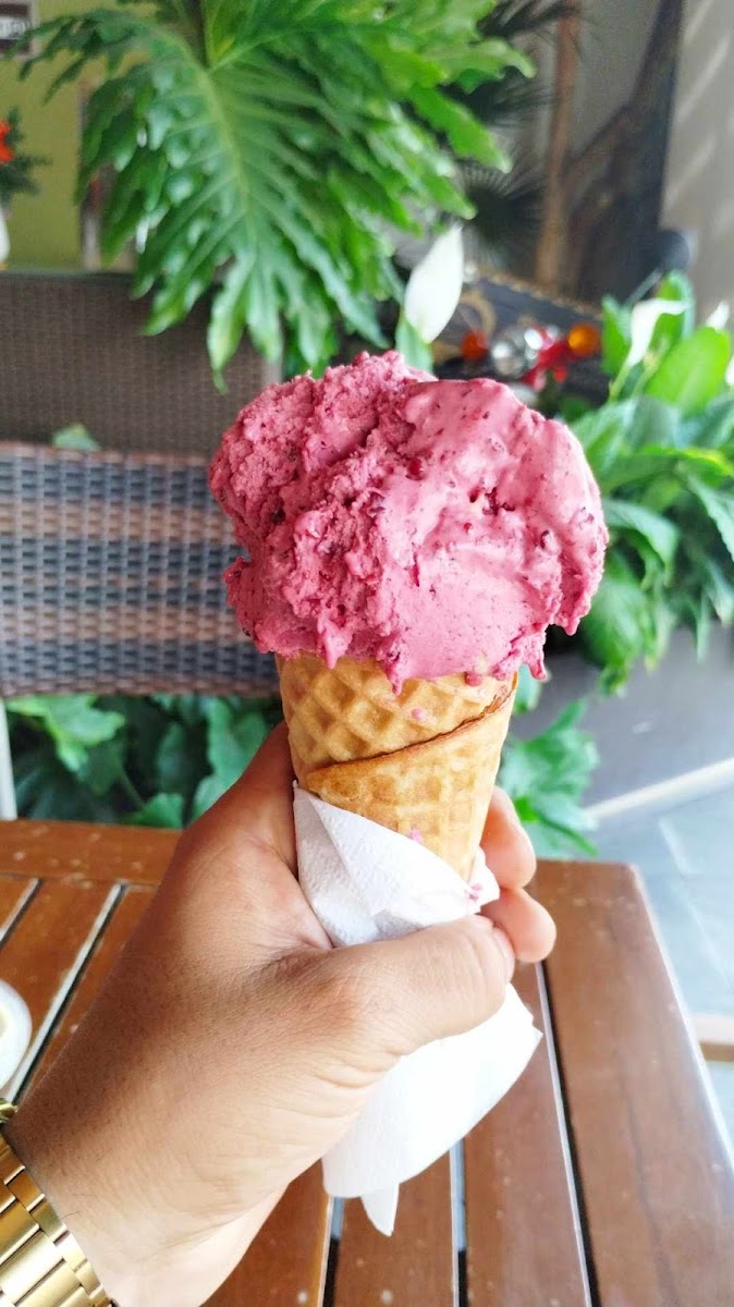 Il Piacere del Gelato Photo 4
