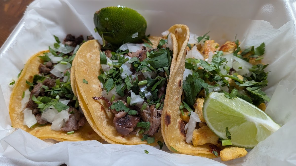 Sofi's Taqueria Photo 2