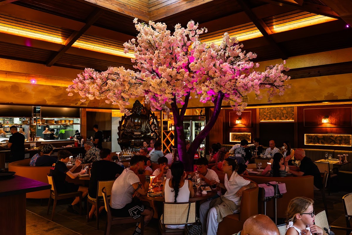 Thai Botanico | Authentic Thai Cuisine